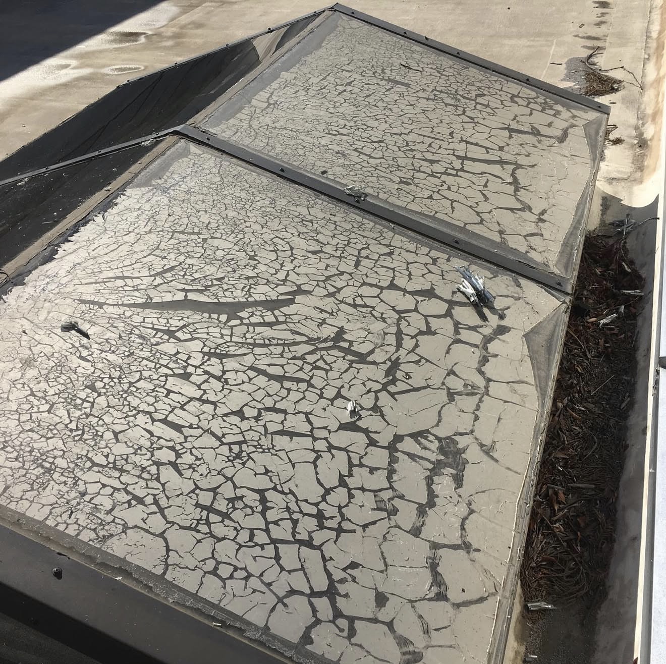 Tint Removal Service